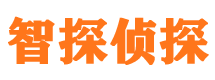 下城寻人公司